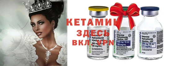 шишки Арсеньев
