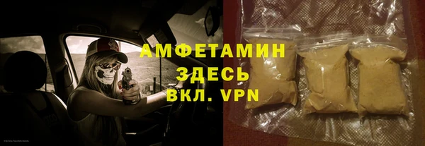 крисы Богородицк
