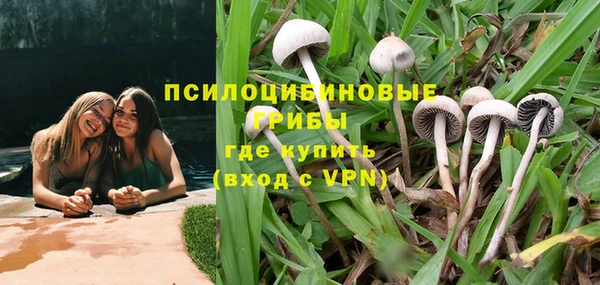 шишки Арсеньев