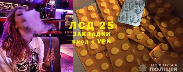шишки Арсеньев