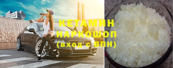 шишки Арсеньев
