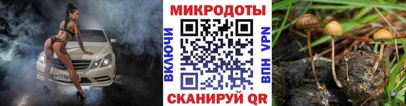 что такое наркотик  Певек  Псилоцибиновые грибы Psilocybe 